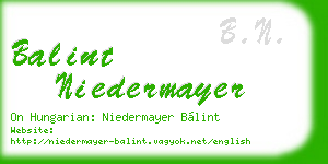 balint niedermayer business card