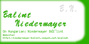 balint niedermayer business card